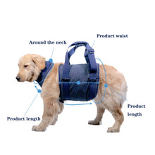 Load image into Gallery viewer, Pet Leash Senior Dogs Walking Aids Chest Harness, XS, S, M, L, XL