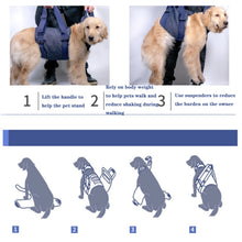 Load image into Gallery viewer, Pet Leash Senior Dogs Walking Aids Chest Harness, XS, S, M, L, XL