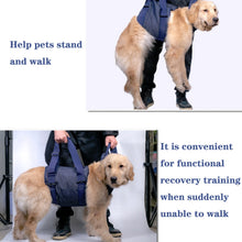 Load image into Gallery viewer, Pet Leash Senior Dogs Walking Aids Chest Harness, XS, S, M, L, XL