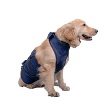Load image into Gallery viewer, Pet Leash Senior Dogs Walking Aids Chest Harness, XS, S, M, L, XL