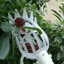 Load image into Gallery viewer, Plum Date Apricot Pick Fruit Plastic Tool, 20cm