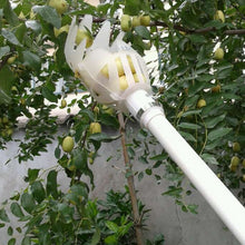 Load image into Gallery viewer, Plum Date Apricot Pick Fruit Plastic Tool, 20cm