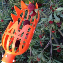 Load image into Gallery viewer, Plum Date Apricot Pick Fruit Plastic Tool, 20cm