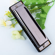 Load image into Gallery viewer, Swan 2 PCS 10 Holes Full-scale Bruce Harmonica Beginner Children Adult Students Playing Musical Instruments, Swan 10 Holes Bruce Harmonica