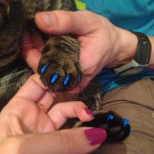 Load image into Gallery viewer, 20 PCS Silicone Soft Cat Nail Caps / Cat Paw Claw / Pet Nail Protector/Cat Nail Cover, XS, S, M, L