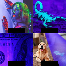 Load image into Gallery viewer, Purple Flashlight Scorpion Fluorescent Detection Lamp Money Detector Lamp Outdoor Lamp, Single without Battery