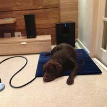 Load image into Gallery viewer, Pet Heating Pad Waterproof and Anti-Scratch Electric Blanket, Size: 60x45cm, US Plug, JP Plug, EU Plug, UK Plug