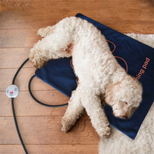 Load image into Gallery viewer, Pet Heating Pad Waterproof and Anti-Scratch Electric Blanket, Size: 60x45cm, US Plug, JP Plug, EU Plug, UK Plug