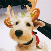 Load image into Gallery viewer, Christmas Pet Accessories Dog Hairpin Cat Ornament Christmas Antler Headband, S, M, L