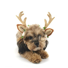 Load image into Gallery viewer, Christmas Pet Accessories Dog Hairpin Cat Ornament Christmas Antler Headband, S, M, L