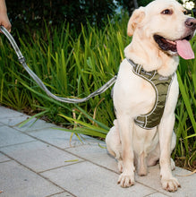 Load image into Gallery viewer, Dog Outdoor Anti-Scourge Traction Rope Nylon Reflective Elastic Stretch Dog Walking Rope, Elastic Stretch Yellow, Elastic Stretch Green