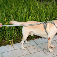Load image into Gallery viewer, Dog Outdoor Anti-Scourge Traction Rope Nylon Reflective Elastic Stretch Dog Walking Rope, Elastic Stretch Yellow, Elastic Stretch Green
