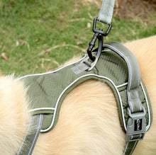Load image into Gallery viewer, Dog Outdoor Anti-Scourge Traction Rope Nylon Reflective Elastic Stretch Dog Walking Rope, Elastic Stretch Yellow, Elastic Stretch Green