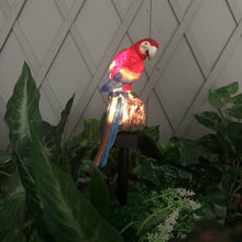 Load image into Gallery viewer, Solar Lawn Lamp Resin Craft Parrot Garden Courtyard Lamp