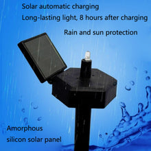 Load image into Gallery viewer, Solar Lawn Lamp Resin Craft Parrot Garden Courtyard Lamp