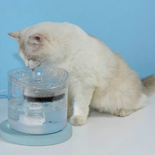 Load image into Gallery viewer, Pet Automatic Circulating Silent And Does Not Leak Electricity Water Dispenser, US Plug  Transparent Color, UK Plug Transparent Color, US Plug  Smart Induction Starter, EU Plug Smart Induction Starter