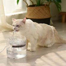 Load image into Gallery viewer, Pet Automatic Circulating Silent And Does Not Leak Electricity Water Dispenser, US Plug  Transparent Color, UK Plug Transparent Color, US Plug  Smart Induction Starter, EU Plug Smart Induction Starter