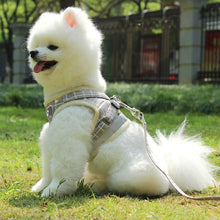 Load image into Gallery viewer, Reflective &amp; Breathable Vest Traction Rope Pet Chest Leash, XS, S, M, L, XL
