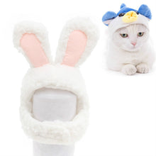 Load image into Gallery viewer, Soft Cat Headgear Cat Dog Cross Dress Pet Hat, XS, S, M, L