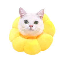 Load image into Gallery viewer, Pet Supplies Cat Headgear Cat Toy Anti-Bite Ring Protective Cover, XS, S, M, L