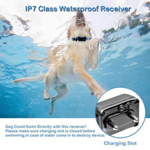 Load image into Gallery viewer, 800m Remote Control Electric Shock Bark Stopper Vibration Warning Pet Supplies Electronic Waterproof Collar Dog Training Device, 556-1, 556-2, 556-3