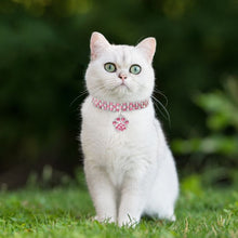 Load image into Gallery viewer, Pet Collar Diamond Elastic Cat And Dog Necklace Jewelry, S, M, L