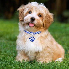Load image into Gallery viewer, Pet Collar Diamond Elastic Cat And Dog Necklace Jewelry, S, M, L
