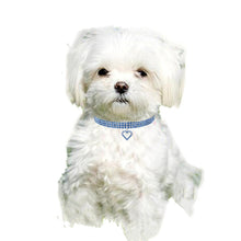 Load image into Gallery viewer, Pet Supplies Elastic Love Cats And Dogs Accessories Pet Collars, S, M, L