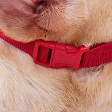 Load image into Gallery viewer, Doglemi Dog Muzzle Pet Supplies Breathable Bark Stopper Muzzle Dog Mouth Cover, S, M, L, XL, XXL