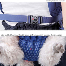 Load image into Gallery viewer, Doglemi Pet Outing Backpack Dog Shoulder Chest Bag Breathable Mesh Dog Cat Bag, M, L