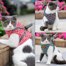 Load image into Gallery viewer, DogLemi Pet Cat Traction Rope Chest Harness Vest Type Traction Suit Cat Walking Rope, XS, S