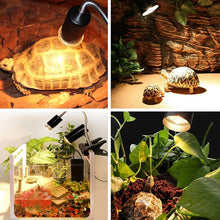 Load image into Gallery viewer, Tortoise UVB Tanning Lamp Holder Full Spectrum Pet Solar Heating Light Holder, EU Plug, EU Plug