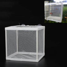 Load image into Gallery viewer, Small Aquarium Incubator Small Fish Isolation Box Net Tropical Fish Breeding Box, Without Clapboard