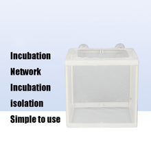 Load image into Gallery viewer, Small Aquarium Incubator Small Fish Isolation Box Net Tropical Fish Breeding Box, Without Clapboard