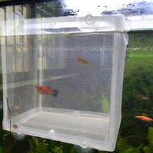 Load image into Gallery viewer, Small Aquarium Incubator Small Fish Isolation Box Net Tropical Fish Breeding Box, Without Clapboard