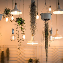 Load image into Gallery viewer, E27 40W Retro Edison Light Bulb Filament Vintage Ampoule Incandescent Bulb, AC 220V, A19 Spirai, G80 Spirai, G80 Filament, G95 Spirai, G95 Filament, ST64 Spirai, ST64 Christmas tree, ST64 Filament, T10 Filament, T185 Filament, T45 Spirai, T45 Filament