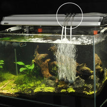 Load image into Gallery viewer, Fish Tank Oxygen Pipe Stainless Steel Distributor Oxygen Regulating Valve, One Head, Two Heads, Three Heads, Four Heads, Five Heads, Six Heads, Eight Heads, Nine Heads, Ten Heads