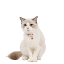 Load image into Gallery viewer, Adjustable Pet Flower Hollow Bell Collar Cat Dog Collar Accessories, S 17-32cm