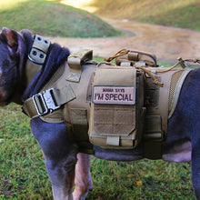 Load image into Gallery viewer, Training Dog Vest Outdoor Equipment Pet Clothes, M, L