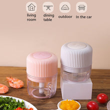 Load image into Gallery viewer, Household Vegetable Cutting Electric USB Garlic Masher Baby Mini Cooking Machine Baby Food Supplement Machine, 100ml, 250ml, 100ml + 250ml