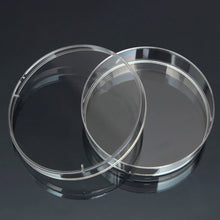 Load image into Gallery viewer, 10 PCS Polystyrene Sterile Petri Dishes Bacteria Dish Laboratory Medical Biological Scientific Lab Supplies, 55mm, 60mm, 70mm, 90mm, 100mm, 150mm
