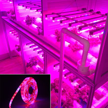 Load image into Gallery viewer, 5m 300 LEDs SMD 5050 Full Spectrum LED Strip Light Fitolampy Grow Lights for Greenhouse Hydroponic Plant, Non Waterproof, Waterproof