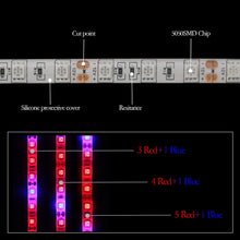 Load image into Gallery viewer, 5m 300 LEDs SMD 5050 Full Spectrum LED Strip Light Fitolampy Grow Lights for Greenhouse Hydroponic Plant, Non Waterproof, Waterproof