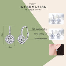 Load image into Gallery viewer, 925 Sterling Silver Zircon Round Drop Earrings, SCE508