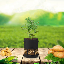 Load image into Gallery viewer, 360 Degree Transparent Potato Bag In The Middle Covered Plant Growing Bag, Medium (30x35cm) 26 Liters/7 Gallons, Large (35x45cm) 43 Liters/10 Gallons