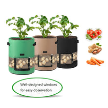 Load image into Gallery viewer, 360 Degree Transparent Potato Bag In The Middle Covered Plant Growing Bag, Medium (30x35cm) 26 Liters/7 Gallons, Large (35x45cm) 43 Liters/10 Gallons