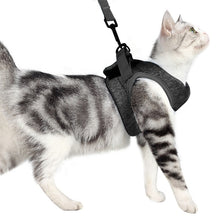Load image into Gallery viewer, Cat Leash Pet Chest Harness Leash, S, M, L