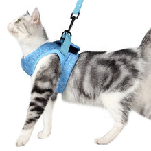 Load image into Gallery viewer, Cat Leash Pet Chest Harness Leash, S, M, L
