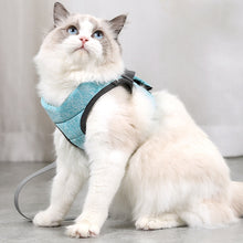 Load image into Gallery viewer, Cat Leash Pet Chest Harness Leash, S, M, L