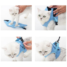 Load image into Gallery viewer, Cat Leash Pet Chest Harness Leash, S, M, L